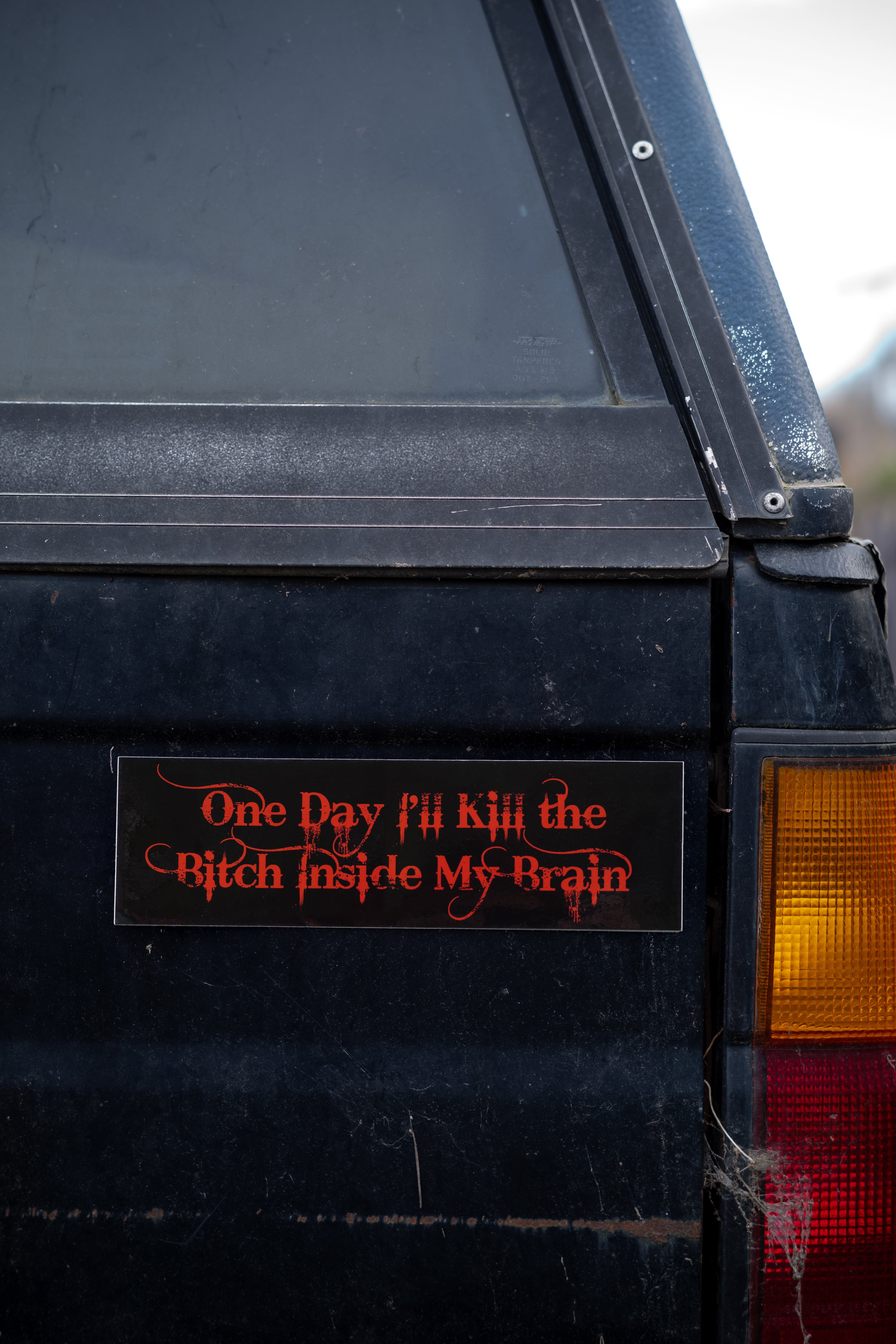 Kill the Bitch Bumper Sticker